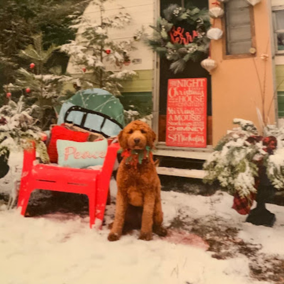 Meet your Posher, Sheila - Picture 1 of 1